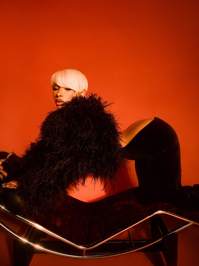 Megan Thee Stallion ký hợp đồng phân phối với Interscope, vẫn giữ quyền sở hữu âm nhạc Ảnh 3