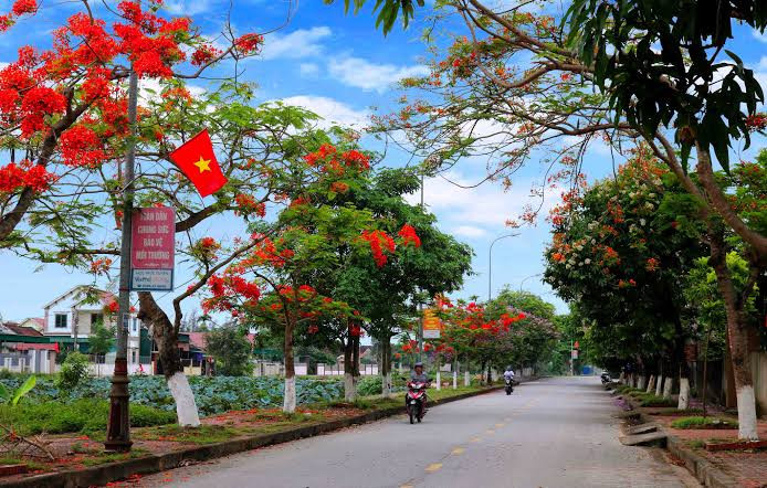 &nbsp;Con đường quê tuyệt đẹp ở xứ Nghệ vào mùa hè. Ảnh: báo Nghệ An