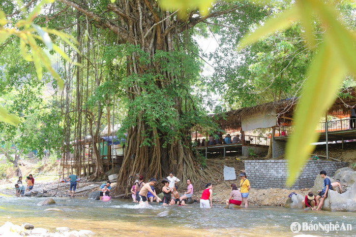 Những trải nghiệm nhẹ nhàng, vui vẻ vào cuối tuần khi đến với Nghệ An. Ảnh: báo Nghệ An