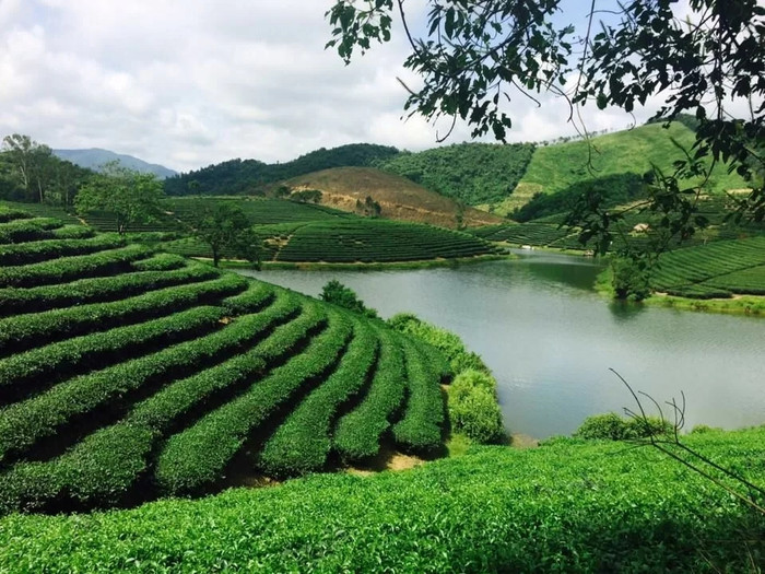 Quê hương bà xã Hồ Văn Cường có một nơi đẹp đến mức du khách ngỡ đang ở trời Âu Ảnh 6