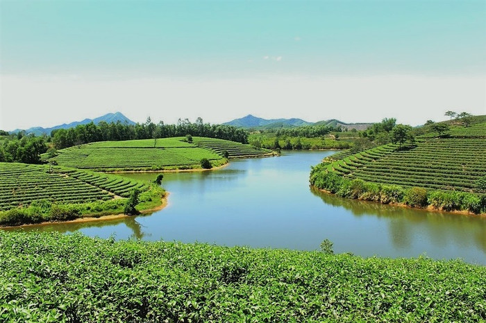 Buổi sáng đón nắng mới trong lành ở xứ Nghệ. Ảnh: Sưu tầm