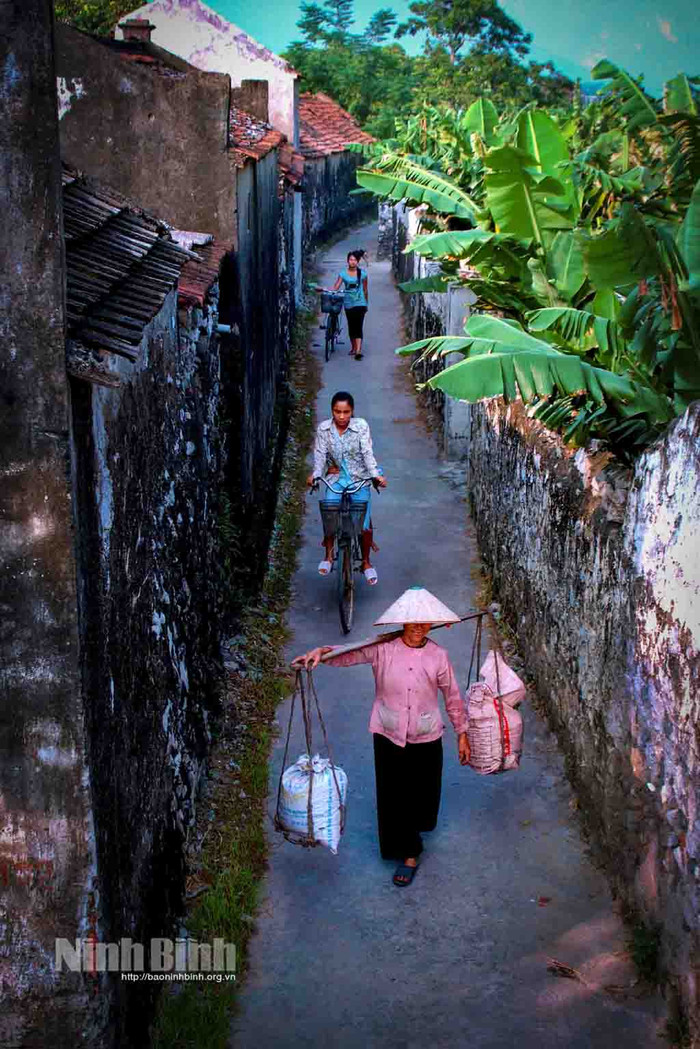 Ảnh: báo Ninh Bình