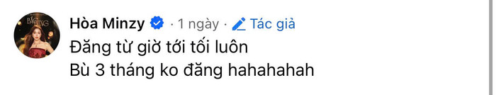 Phần bình luận giải thích của Hòa Minzy. Ảnh chụp màn hình FBNV