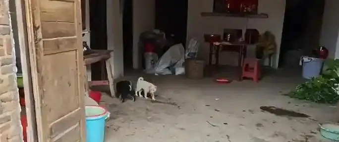 Về quê vì thất nghiệp, cô gái 23 tuổi bật khóc trước cảnh tượng khi đến nhà Ảnh 3