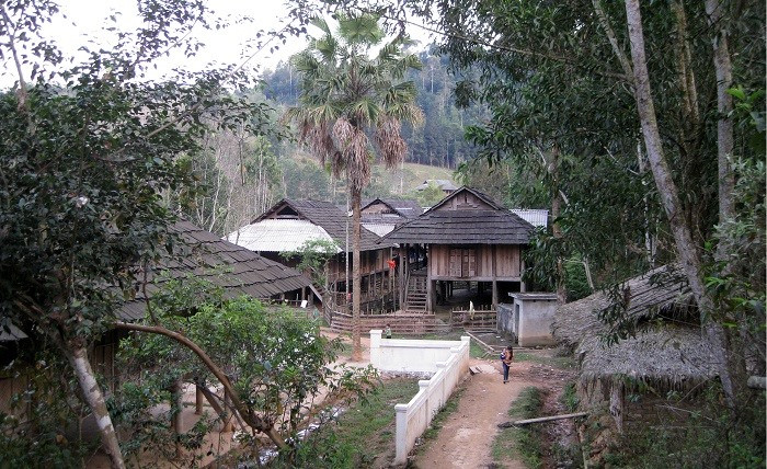 Khung cảnh bản làng người Thái ở Quế Phong. Ảnh: Người Làng Mai