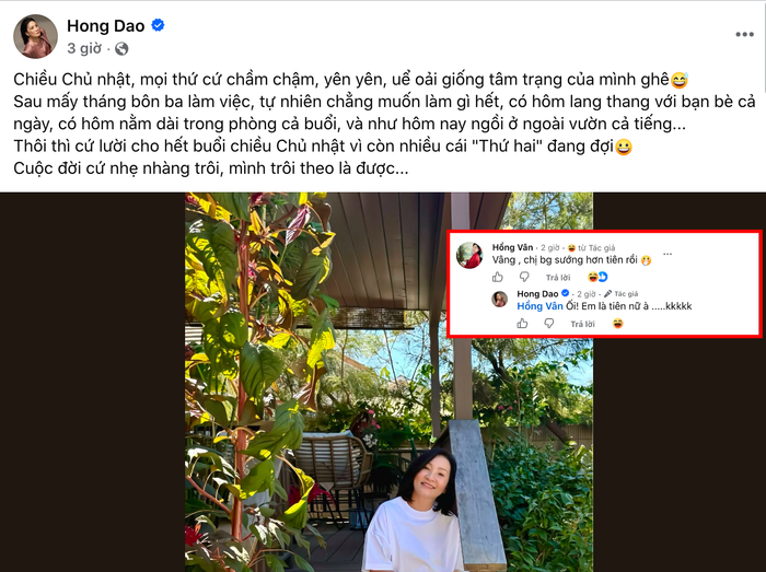 Hồng Vân tiết lộ cuộc sống hiện tại của Hồng Đào 'sướng hơn tiên'. Ảnh: Chụp màn hình FBNV