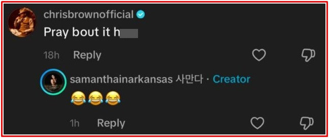 RM và J-Hope vướng tranh cãi sau khi dự concert Chris Brown Ảnh 3
