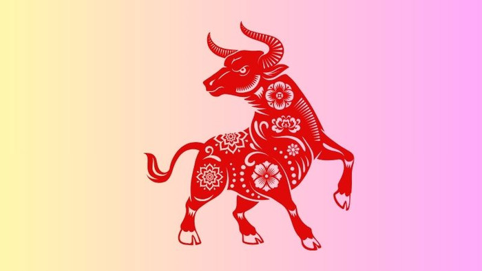 3 con giáp có xu hướng 'già trước tuổi', thích sự bình yên Ảnh 1