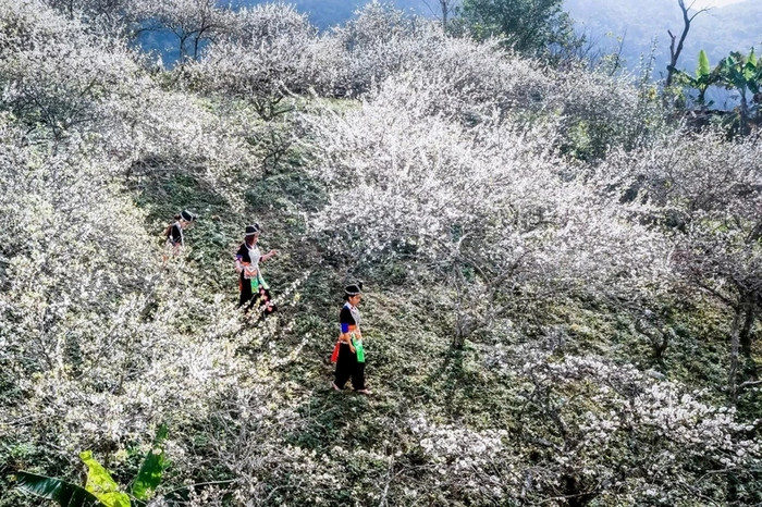Cảnh đẹp ở Mường Lống. Ảnh: báo Nhân dân