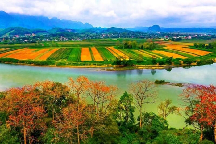 Bản Nà Pha với những cánh đồng bát ngát. Ảnh: Báo Nghệ An&nbsp;