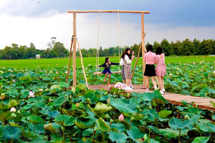 Đồng Tháp quê hương ca sĩ Hồ Văn Cường được mệnh danh là xứ sở sen hồng. Ảnh: Sưu tầm
