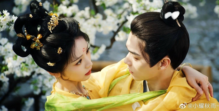 Lấy bối cảnh Trường An mang màu sắc kỳ ảo, Tử Dạ Quy xoay quanh mối quan hệ đặc biệt giữa quận chúa Vũ Trinh (Điền Hi Vi) và đạo sĩ Mai Trục Vũ (Hứa Khải). Một người là thủ lĩnh yêu miêu, người còn lại chuyên hàng yêu phục ma, hai nhân vật ban đầu đứng ở hai phía đối lập nhưng dần tìm thấy sự đồng điệu. Những vụ việc kỳ bí cùng hành trình đối đầu thế lực tà ác tạo nên màu sắc riêng cho bộ phim, bên cạnh tuyến tình cảm được triển khai xuyên suốt.