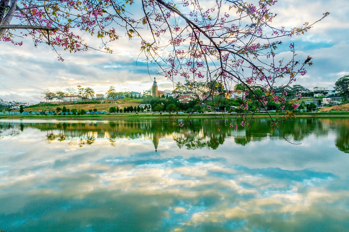 Cảnh đẹp ở Tam Đảo. Ảnh: Sưu tầm