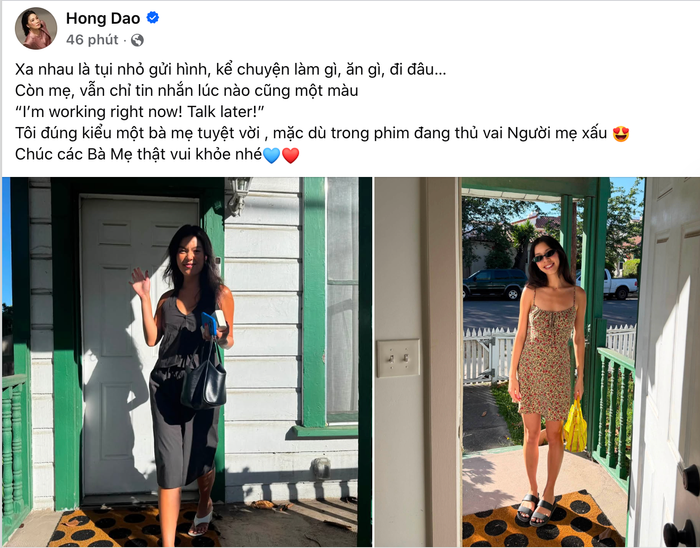 Chia sẻ gây chú ý của Hồng Đào. Ảnh: Chụp màn hình FBNV