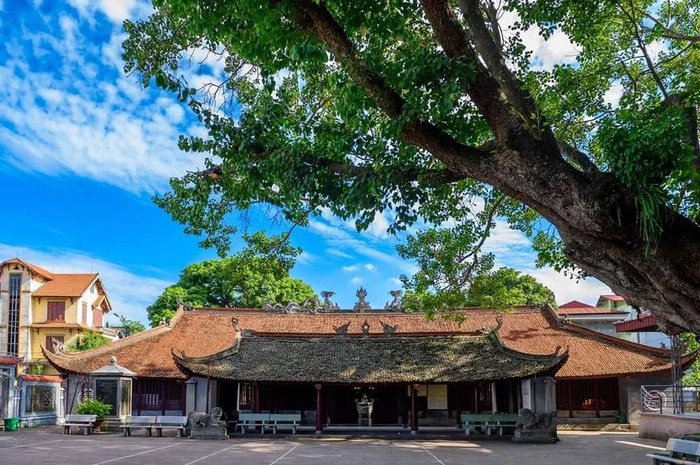 Ảnh: báo Dân Việt
