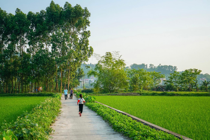 Ảnh: Nhiếp ảnh gia Nguyễn Quang Hưng