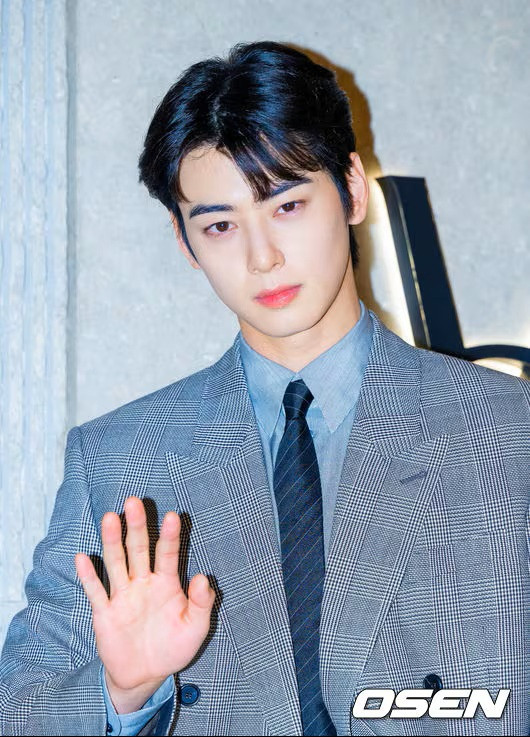 Phía Cha Eun Woo đã nộp đơn kháng cáo thuế. (Ảnh từ Chosun)
