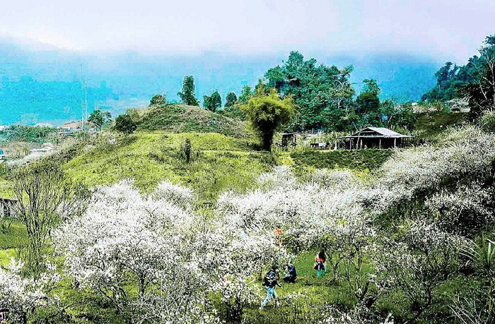 Cảnh đẹp Mường Lống.