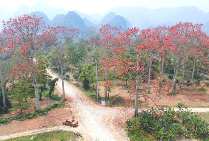 Ảnh: Truyền hình Nghệ An