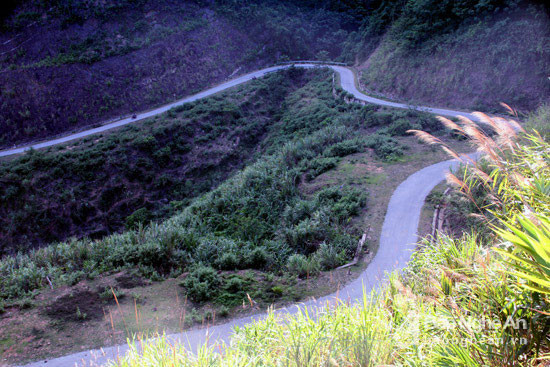 Ảnh: báo Nghệ An