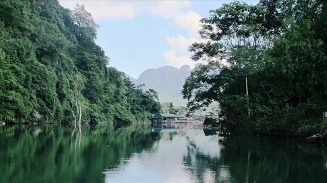 Ảnh: báo Lao Động