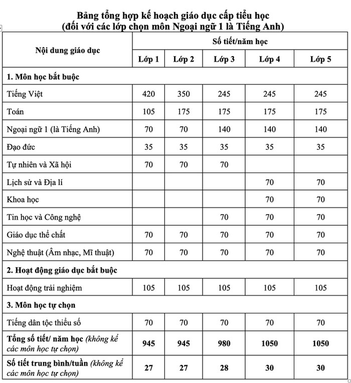Tiếng Anh có thể thành môn bắt buộc từ lớp 1 Ảnh 2