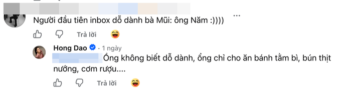 Bình luận đầy ẩn ý của Hồng Đào.