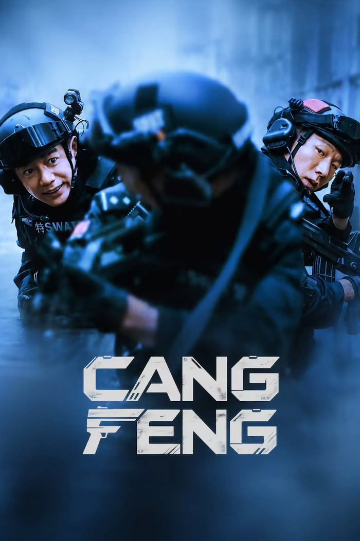 Tàng Phong có sự tham gia của Đoàn Dịch Hoành, Dư Nam và A Như Na, lấy góc nhìn của một cảnh sát làm công việc văn phòng để triển khai câu chuyện điều tra. Ý tưởng này tạo được nét khác biệt nhất định, trong đó diễn xuất của Đoàn Dịch Hoành được đánh giá khá tiết chế và có chiều sâu. Tuy nhiên, một số ý kiến cho rằng kịch bản vẫn còn những điểm thiếu thuyết phục khi tiến trình vụ án đôi lúc dựa vào sự trùng hợp, từ đó làm giảm cảm giác chân thực. Nhân vật cảnh sát đặc nhiệm do A Như Na thể hiện cũng gây tranh luận bởi tính cách được xây dựng khá mạnh, đôi khi chưa tạo được sự phù hợp với môi trường làm việc của một cảnh sát.