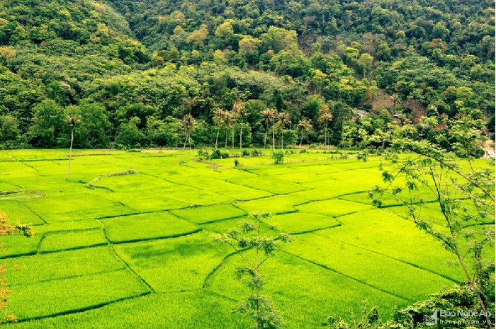 Cảnh sắc đẹp như tranh của vùng núi xứ Nghệ. Ảnh: báo Nghệ An