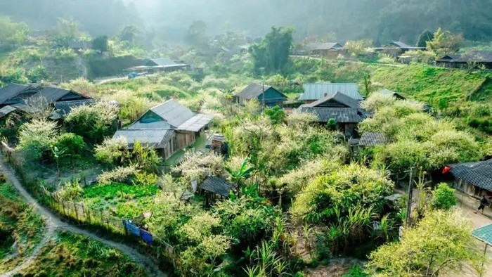 Cảnh đẹp trong veo, bình dị ở miền Tây xứ Nghệ. Ảnh: Sưu tầm