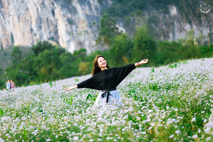 Hoa ngũ sắc nằm dưới chân núi xã Hội Sơn. Ảnh: báo Nghệ An