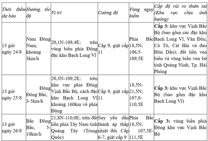 Bão mạnh cấp 8-9, giật cấp 11 trên vùng biển Quảng Ninh - Hải Phòng Ảnh 2