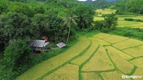 Cảnh đẹp bình dị, không ồn ào ở xứ Nghệ.
