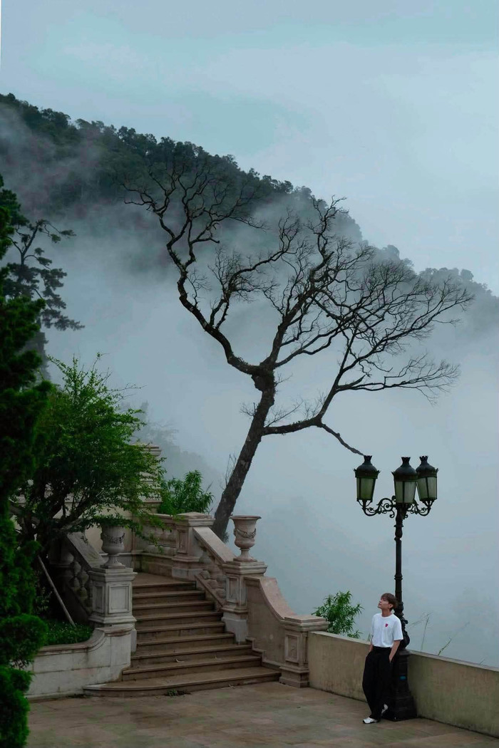 Những con dốc thơ mộng ở Tam Đảo. Ảnh: hie.hine