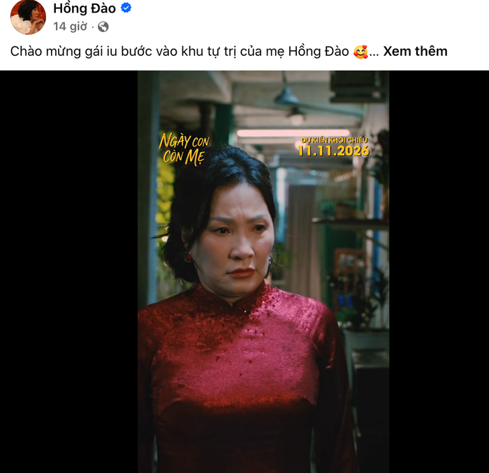 Hồng Đào chia sẻ. Ảnh: Chụp màn hình FBNV