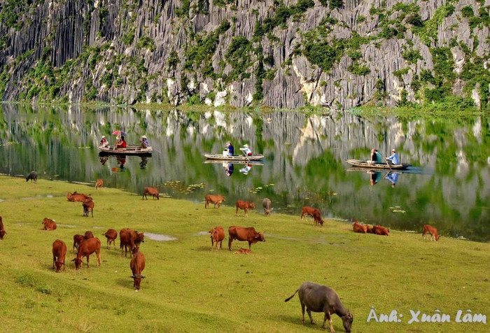 Miền quê yên bình ở Ninh Bình. Ảnh: Xuân Lâm