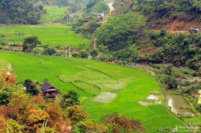 Cảnh đẹp thanh bình, không ồn ào ở miền quê xứ Nghệ. Ảnh: báo Nghệ An