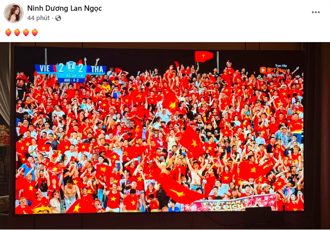 Ninh Dương Lan Ngọc vỡ òa trước khoảnh khắc tuyển Việt Nam chính thức lên ngôi vô địch ASEAN Cup 2026. Ảnh: FBNV.