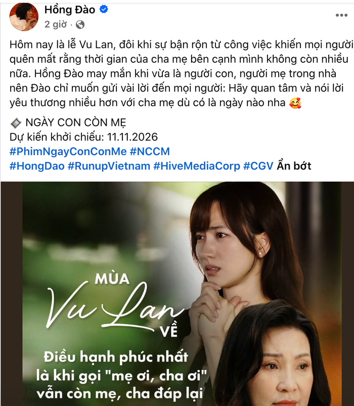 Hồng Đào chia sẻ. Ảnh: Chụp màn hình FBNV