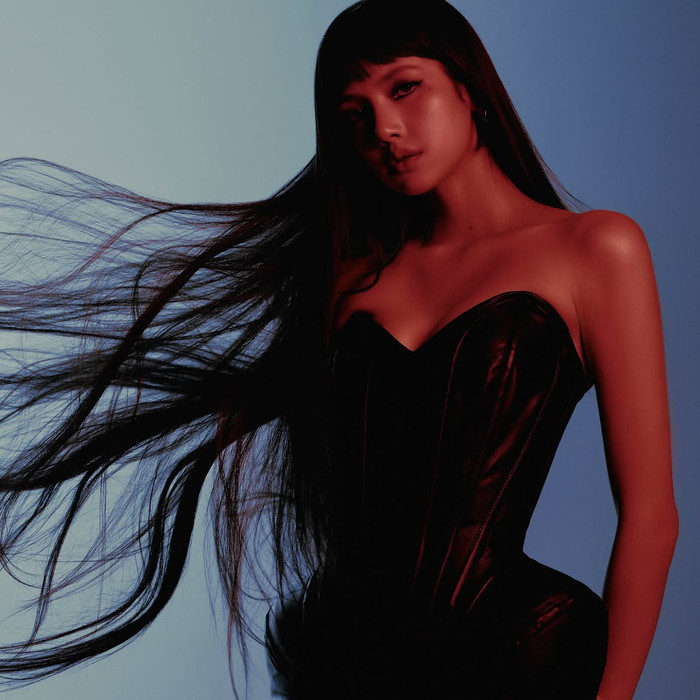 Lisa bị chế giễu Ảnh 1