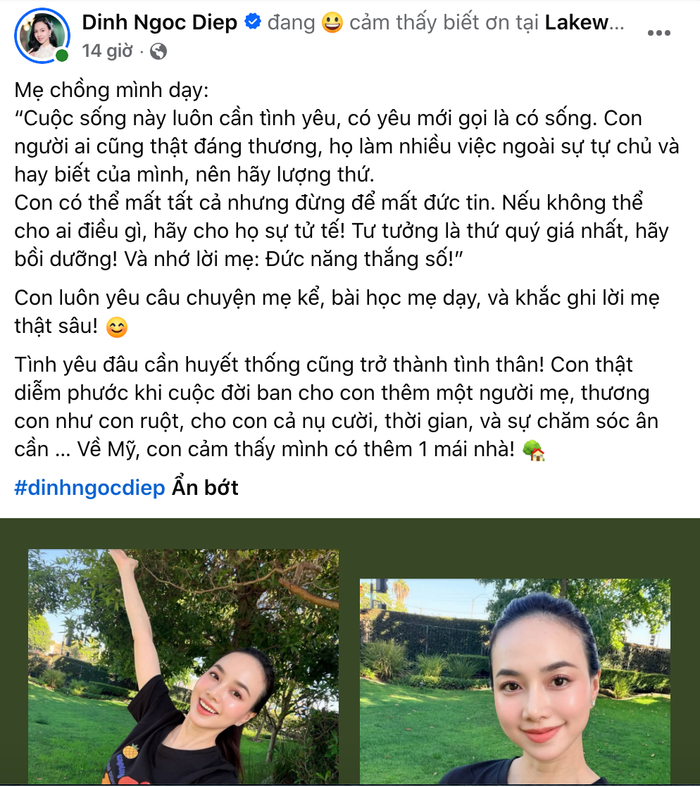 Đinh Ngọc Diệp chia sẻ về mẹ chồng. Ảnh: Chụp màn hình FBNV