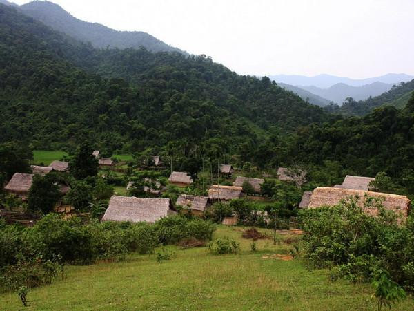 Ảnh: Phương Hoa/TTXVN