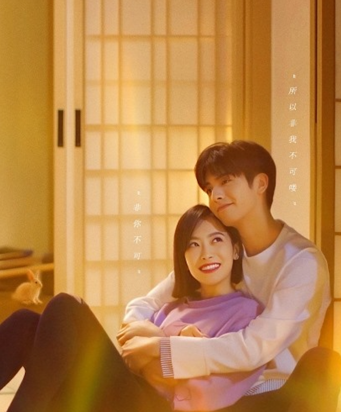 Tống Thiến và Tống Uy Long đảm nhận vai chính trong Trạm Kế Tiếp Là Hạnh Phúc, câu chuyện xoay quanh mối tình chị em có khoảng cách tuổi tác. Hạ Phồn Tinh là người phụ nữ thành đạt 32 tuổi nhưng chưa từng trải qua một mối tình thực sự. Cuộc sống của cô thay đổi khi gặp Nguyên Tống, chàng thực tập sinh trẻ tuổi tại công ty. Tình cảm giữa hai người phải đối mặt với khoảng cách 10 tuổi, những định kiến và nhiều hiểu lầm. Sự xuất hiện của Diệp Lộc Minh, một người đàn ông trưởng thành và chín chắn, càng khiến lựa chọn tình cảm của Hạ Phồn Tinh trở nên phức tạp.