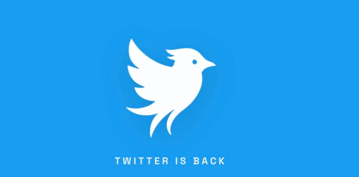 Cái tên Twitter bất ngờ xuất hiện trở lại thông qua nền tảng Twitter.now do startup Operation Bluebird phát triển.