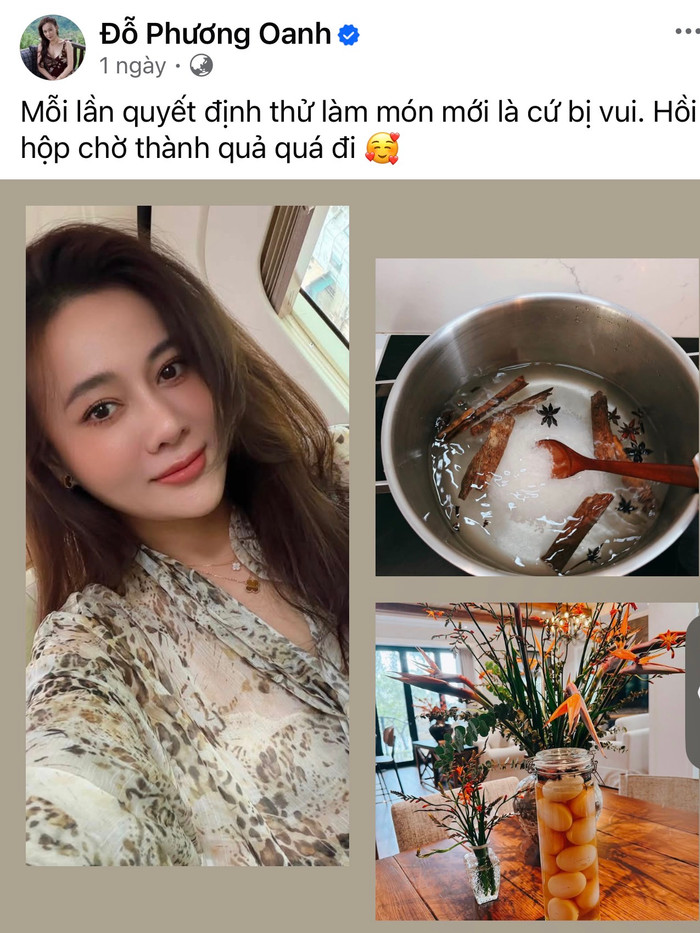 Sau quãng thời gian gần như vắng bóng trên mạng xã hội và chưa trở lại với điện ảnh, Phương Oanh đang tìm thấy niềm hạnh phúc từ một công việc về cuộc sống thường ngày với khán giả. Ảnh: FBNV