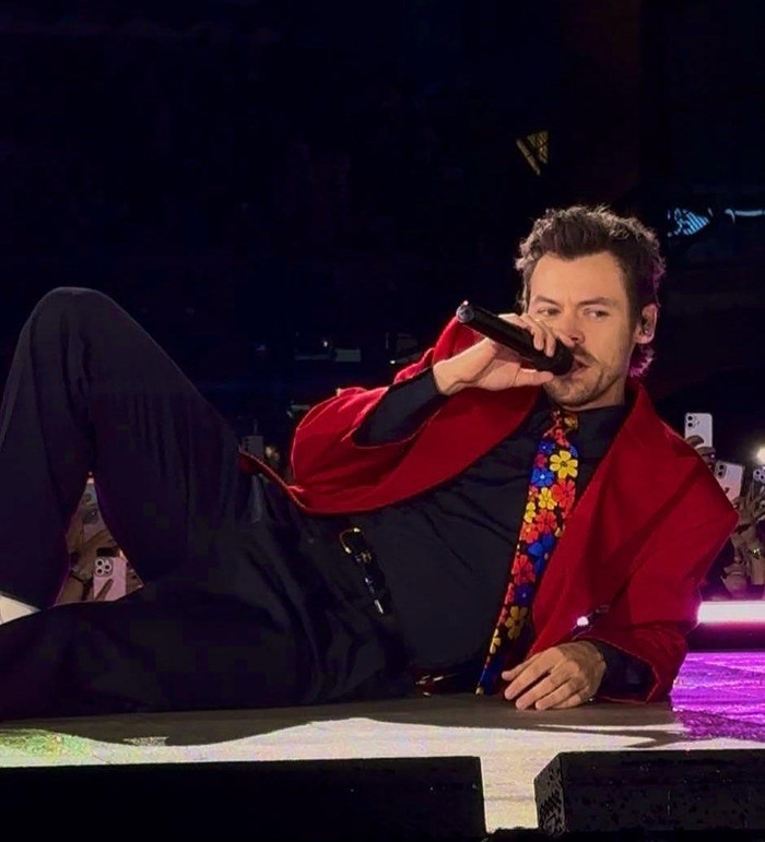 Harry Styles trượt ngã trên sân khấu, hàng chục ngàn khán giả thót tim Ảnh 2