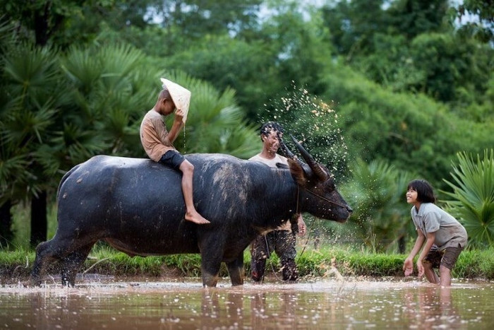 4 con giáp càng áp lực càng bộc lộ năng lực, gặt hái thành công ai cũng nể Ảnh 1
