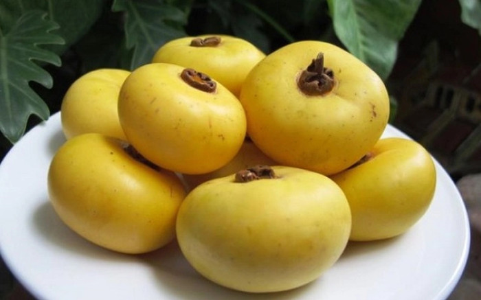 Ảnh: Phụ nữ Việt Nam