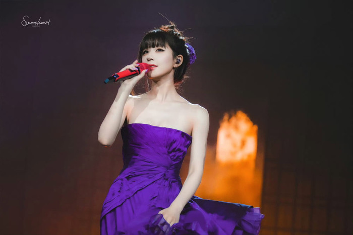 Nhiều bộ đồ diễn đắt đỏ của Triệu Lộ Tư đã bị đánh cắp. Ảnh: Fansite