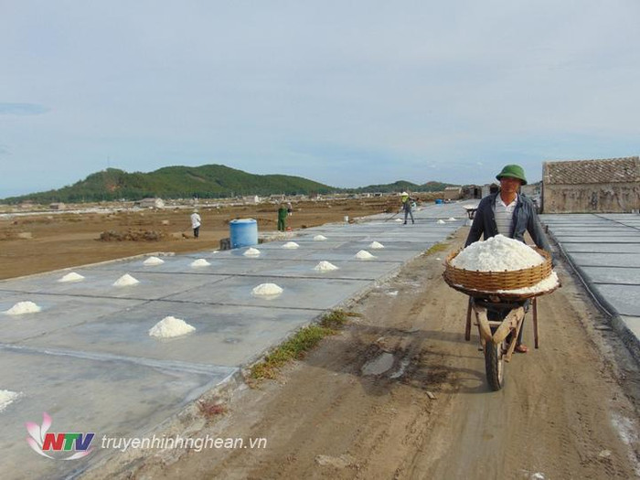 Làng nghề làm muối ở Nghệ An. Ảnh: Truyền hình Nghệ An